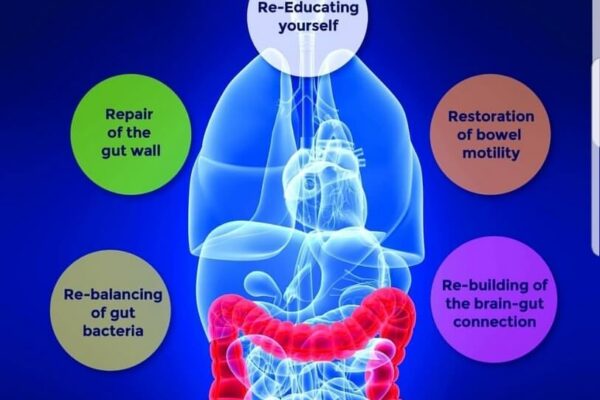 the seven Rs of colon hydrotherapy